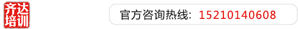 大阴蒂在线齐达艺考文化课-艺术生文化课,艺术类文化课,艺考生文化课logo